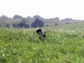 /album/a20092/bellami-september-2009-16-jpg/