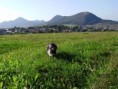 /album/a20092/bellami-september-2009-17-jpg/